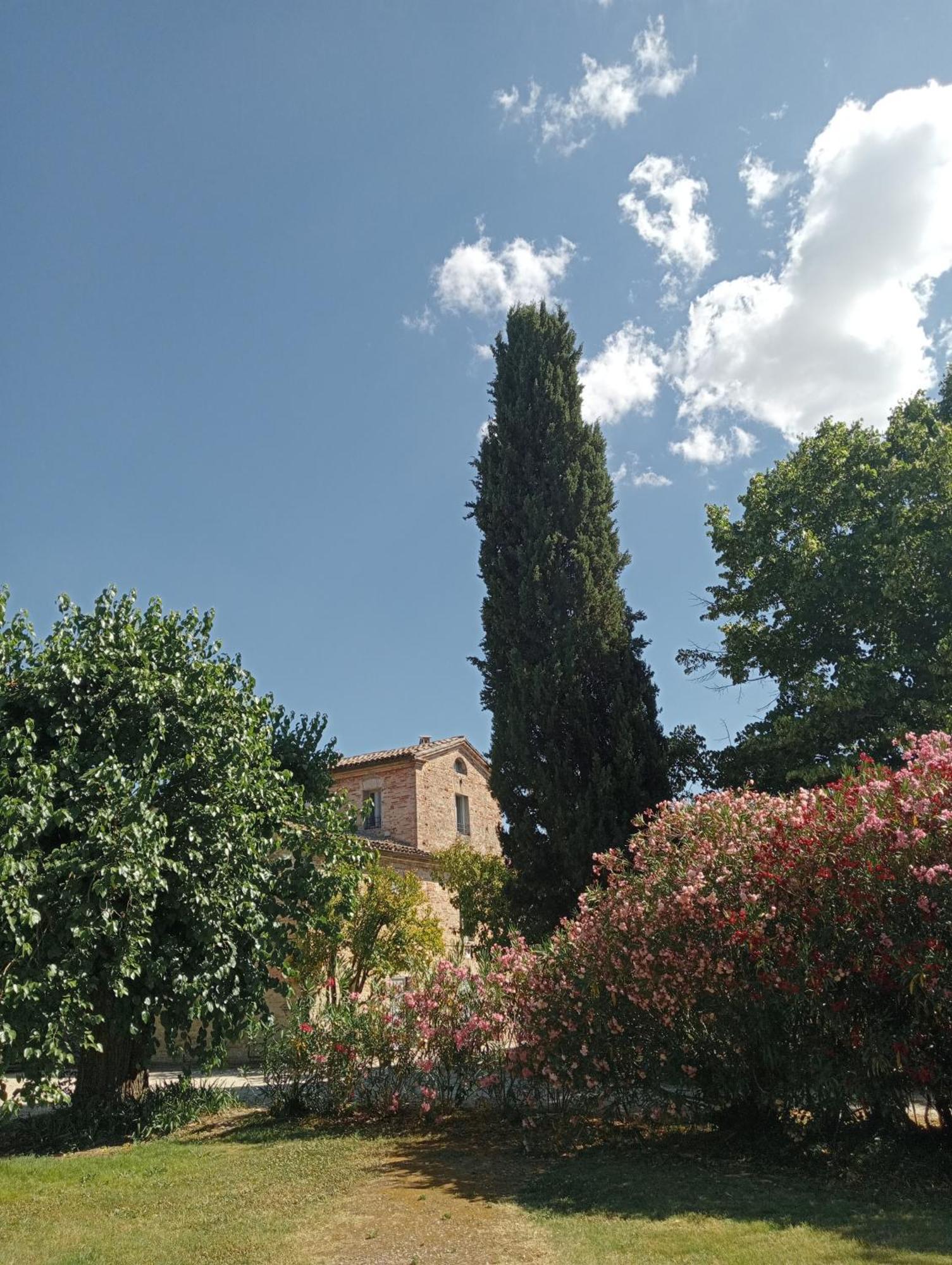 Maison022 Ξενοδοχείο Iesi Εξωτερικό φωτογραφία