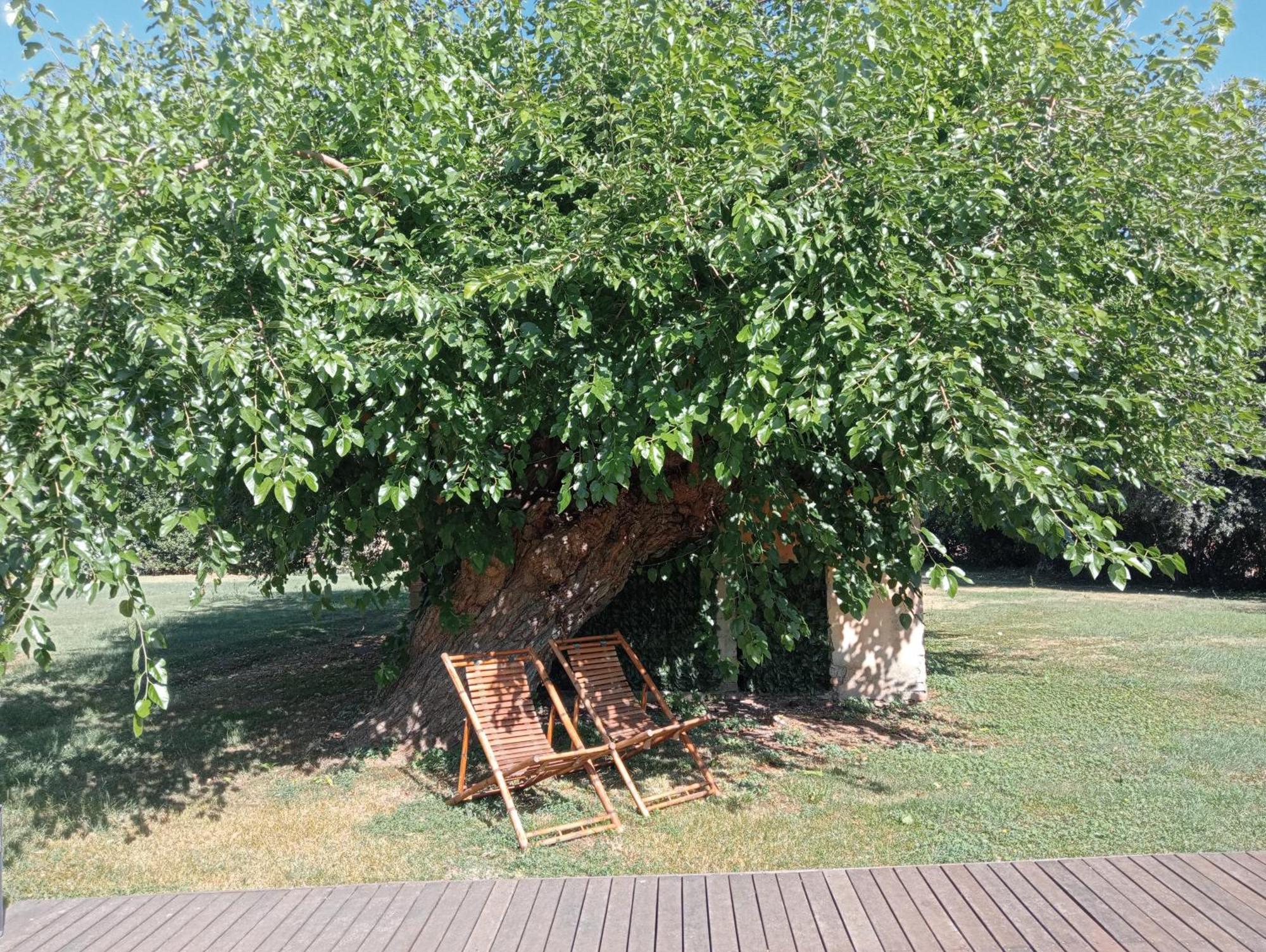 Maison022 Ξενοδοχείο Iesi Εξωτερικό φωτογραφία